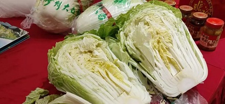 鲁迅笔下的「胶菜」指的是哪种菜？