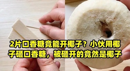 用口香糖真有可能砸开椰子吗？