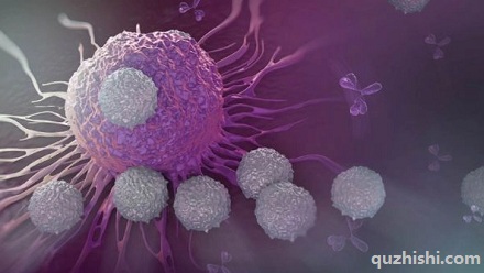 为什么癌细胞要和人类同归于尽？