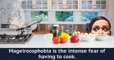 下厨恐惧症 (mageirocophobia) 是什病？