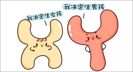 吸烟丢失 Y 染色体?