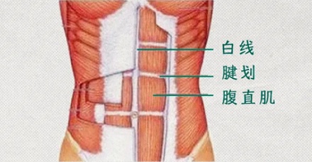 潘展乐的腹肌为啥不是对称的?