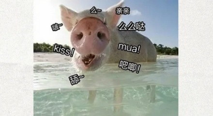 猪八戒的两只耳朵够拌几斤黄瓜?