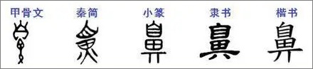 创始人为啥叫「鼻祖」?