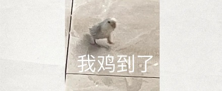 为啥有些日煮蛋剥起来坑坑洼洼的?