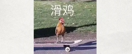 鸡柳到底是鸡身上的哪个部位?
