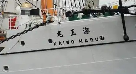 日本的船只为什么总要叫个什么「丸」?