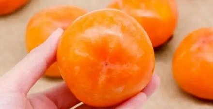 柿子到底能不能空腹吃?