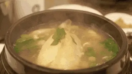 明明都是 100℃,为啥鱼汤要大火,鸡汤却要小火?
