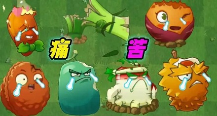 植物也会感到疼痛吗?