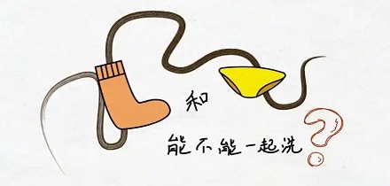 内裤 vs. 袜子:哪一个更「脏」?能一起洗吗?