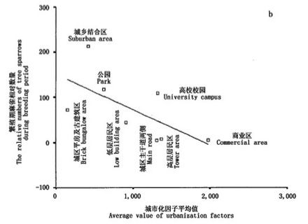 过去城里随处可见的麻雀，为什么现在几乎都换成了珠颈斑鸠？