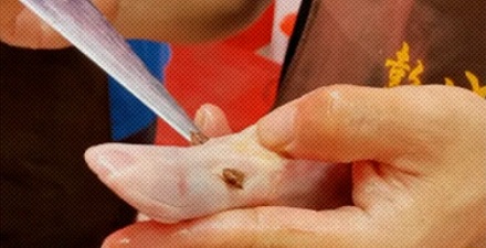 为什么吃猪肉鸭肉时吃到粘牙的东西要赶紧丢掉？
