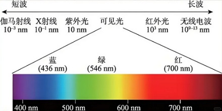 明明能看到，为什么科学家却说粉红色根本不存在？