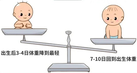 为什么每一个婴儿出生，护士都要大声报几斤几两？