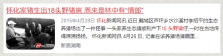 为啥家猪放到野外就会变成野猪，甚至还长出獠牙？