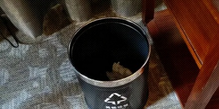 为什么高档酒店的垃圾桶不套垃圾袋？
