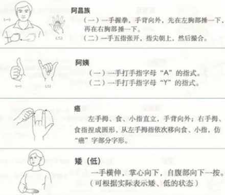 不同国家的聋人用手语交流能互相看懂吗？