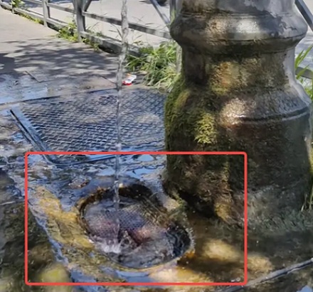 为什么罗马街头随处可见的水龙头都一直开着？