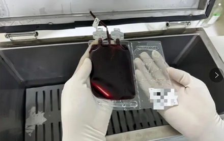 为什么脐带血可以治疗白血病?