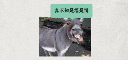 都是动物皮,为啥猪皮上桌成为肉冻,而驴皮却能做成昂贵的阿胶?
