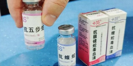 抗蛇毒的血清，为什么只能从马身上抽取？