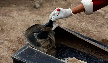 现在都火葬了,以后考古学家要去哪里搞尸体研究?