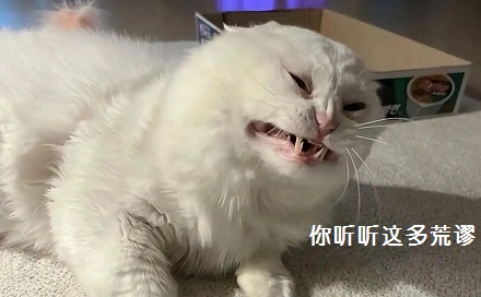 水果软糖为什么是「荤」食?