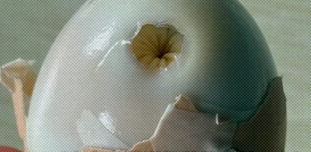 为啥煮熟的鸡蛋里会出现肛门形状的小孔？