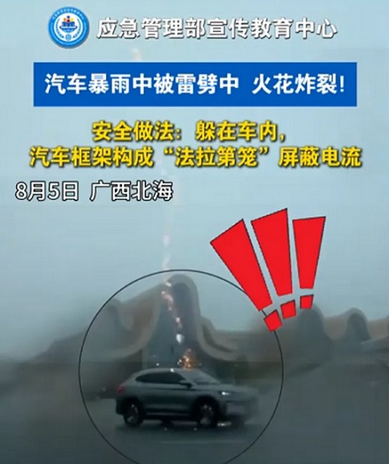 为什么微波炉的门上都要嵌一大块黑色网?