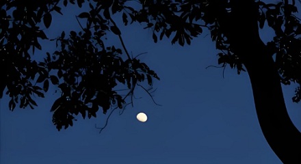 原来,「宵」与「夜」是有区别的!