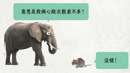 为什么几乎所有哺乳动物的心跳，都是一生 7 亿次左右？