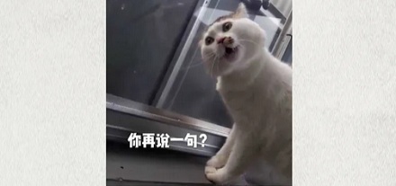 为什么游泳的时候也没喝水，但就会想尿尿？