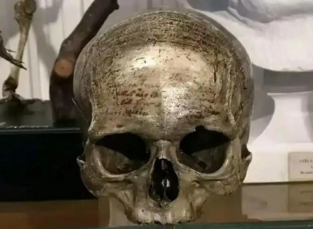 为什么博物馆里会有笛卡尔的头骨？