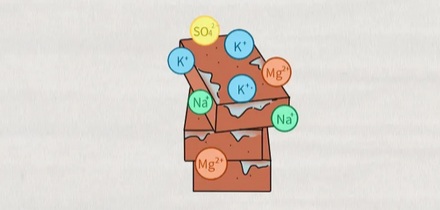 为什么冬天砖墙上会长出白色的「霜粉」？