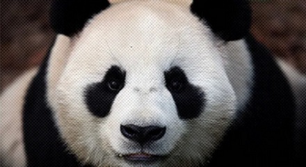 为什么法医看到尸体有「熊猫眼」要重点记录？