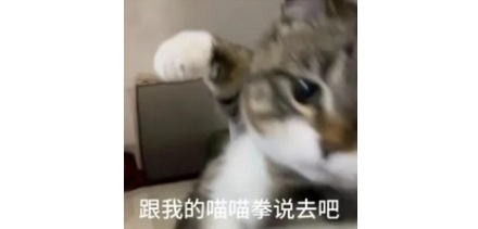 为什么管功夫不好叫「三脚猫」？