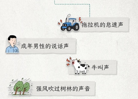 为什么瓜农总在夜深人静时打着手电简挨个敲瓜？