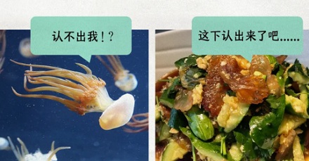 为什么叮咚买菜的凉拌海蜇名字叫「妈妈我头疼」？