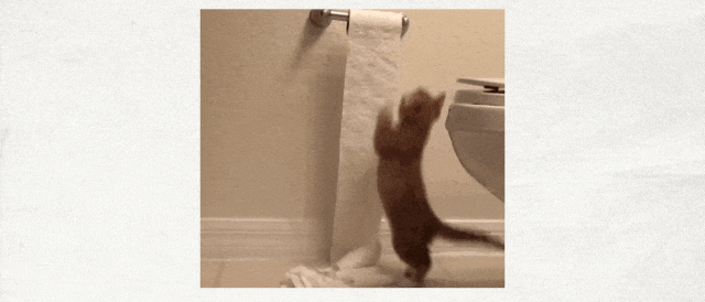 为啥韩国人搬家后，朋友们都会送卫生纸当作礼物？