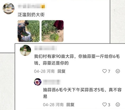 为什么河南农户就算亏本也一定要把蒜薹抽了？放着不抽会怎么样？