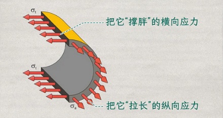 为啥烤肠的裂口都是纵向的？