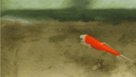 为啥金鱼没了头还能活两周，人却不行？