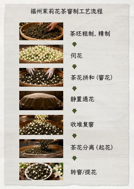 为什么奶茶店都说自己用的是「窨制茉莉」，「窨制」是什么意思？