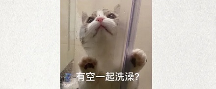 为什么发达的欧美很多孩子还会长头虱，他们还觉得特正常？