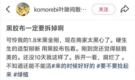为什么花鸟市场的盆栽枝干上都缠着黑色胶布？