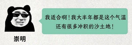 我国最大的藏红花产地，为什么在上海崇明？