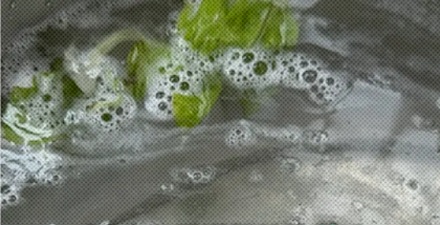 为什么每次洗完生菜都有很多泡沫，是农药残留吗？