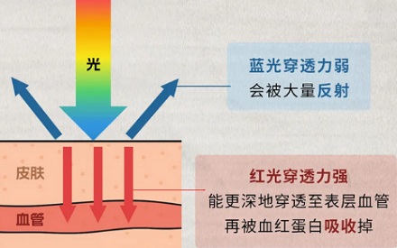 为什么血是红的，血管却看起来是青的？