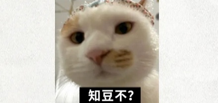 为啥鼻炎发作的时候，越擤其实会越堵？